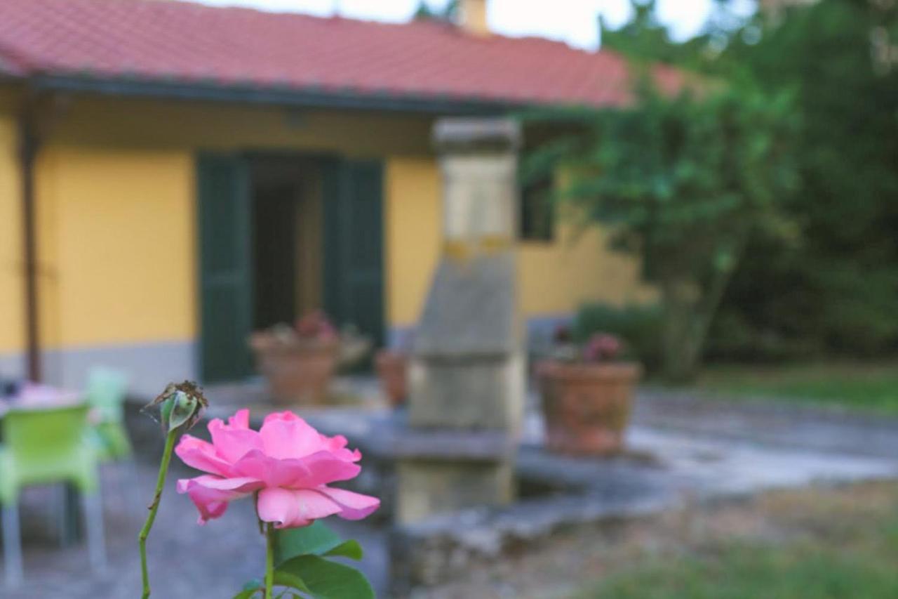 Casa Con Giardino In Mugello A 30 Minuti Da Firenze "Soleluna" Osteria di Novoli Esterno foto
